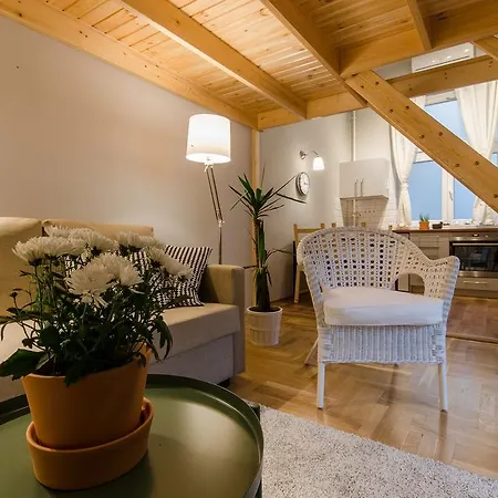 Sesame Light & Wide Apartment